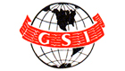 GSI / Geophysical Service Inc